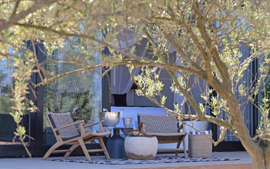 Olijvenkraal: Where Time Slows Down in the Cape Winelands