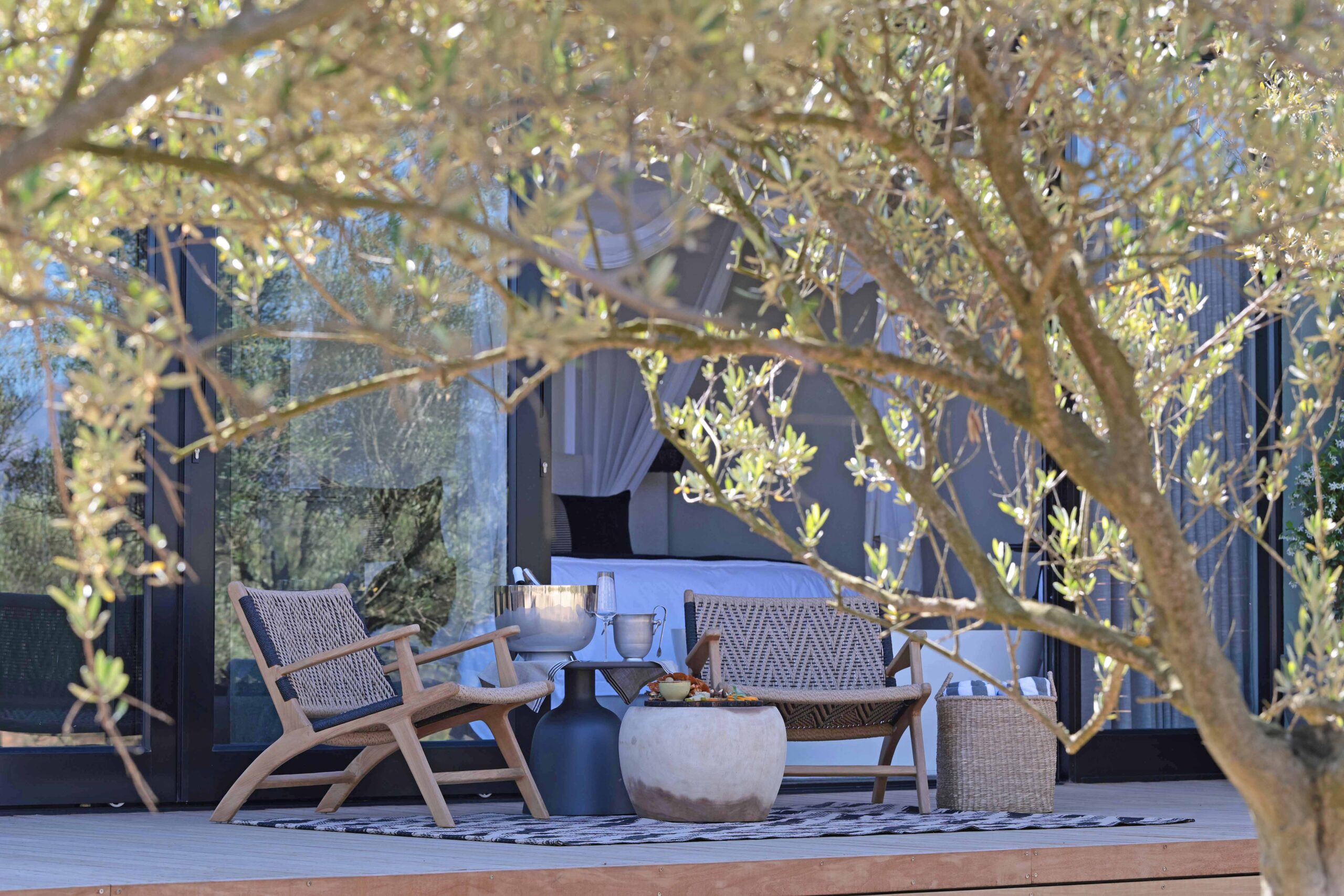 Olijvenkraal: Where Time Slows Down in the Cape Winelands